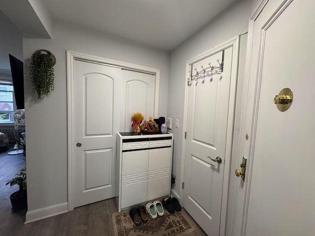 mudroom featuring baseboards and dark wood-style flooring