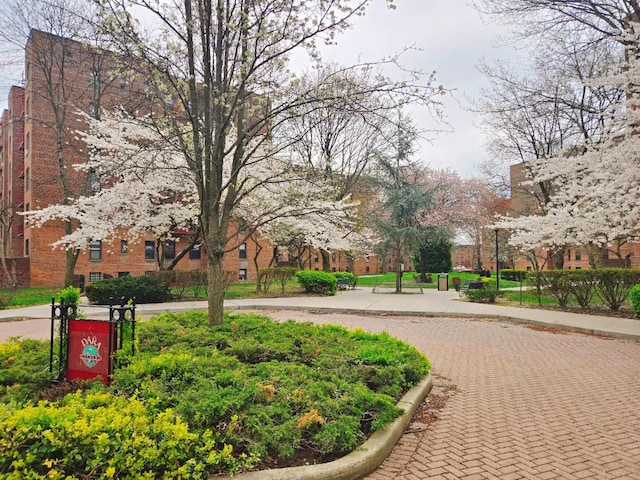 view of property's community