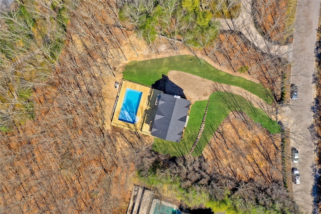 bird's eye view