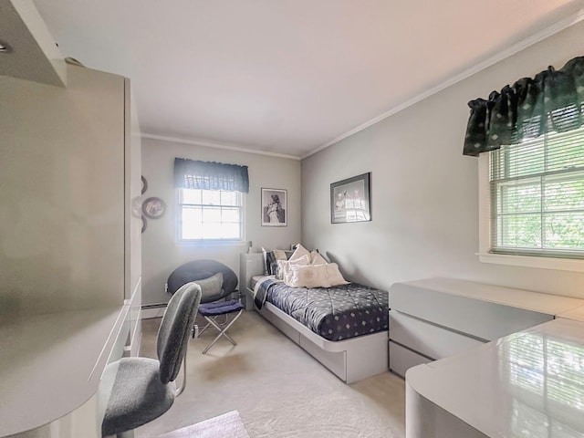 14 Scott St, Dix Hills, NY 11746 - bedroom featuring ornamental molding and light carpet