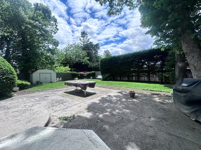 14 Scott St, Dix Hills, NY 11746 - view of patio with outdoor dining area and area for grilling