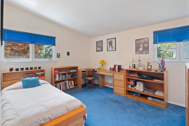 carpeted bedroom with multiple windows and vaulted ceiling