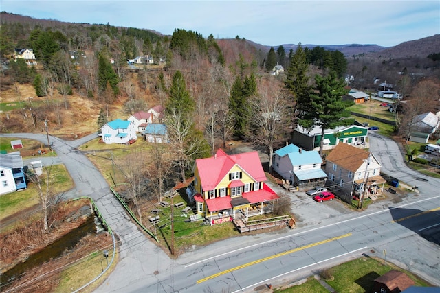 108 Main St, Livingston Manor, NY 12758 - bird's eye view of a heavily wooded area and a mountainous background