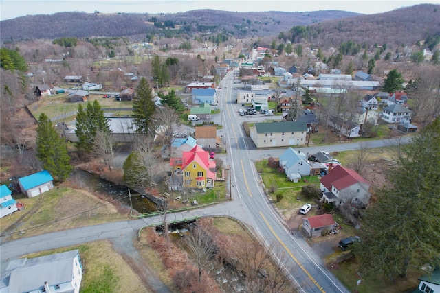 108 Main St, Livingston Manor, NY 12758 - aerial perspective of suburban area with a mountain backdrop
