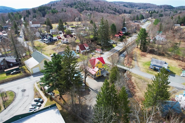 108 Main St, Livingston Manor, NY 12758 - aerial view of residential area featuring a mountainous background