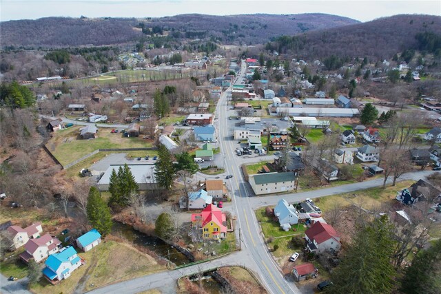 108 Main St, Livingston Manor, NY 12758 - aerial overview of property's location with a mountainous background and nearby suburban area