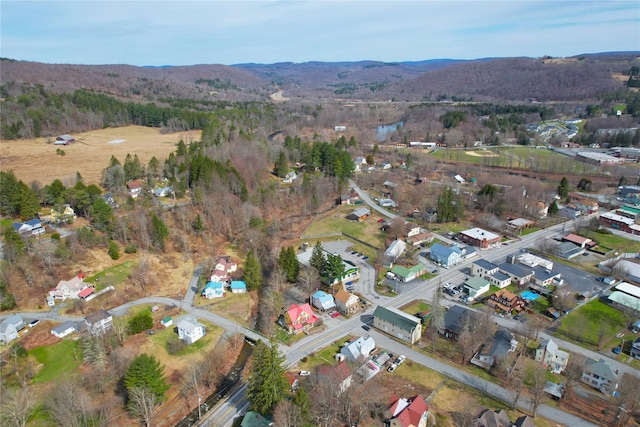 108 Main St, Livingston Manor, NY 12758 - aerial view of property's location featuring mountains