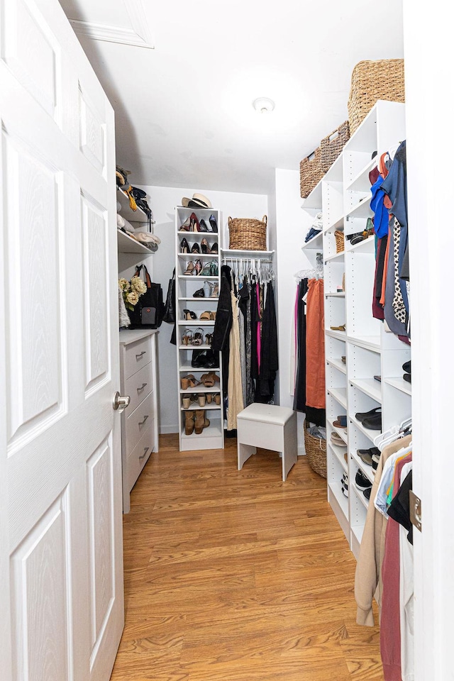 walk in closet with light wood finished floors