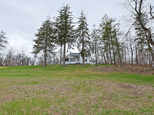 4073 Rte 9w, Saugerties, NY 12477 - view of yard