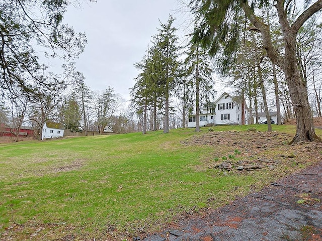 4073 Rte 9w, Saugerties, NY 12477 - view of yard