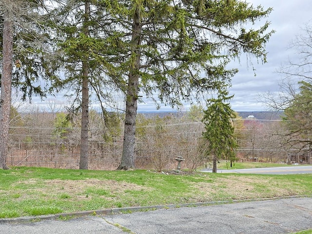 4073 Rte 9w, Saugerties, NY 12477 - view of street