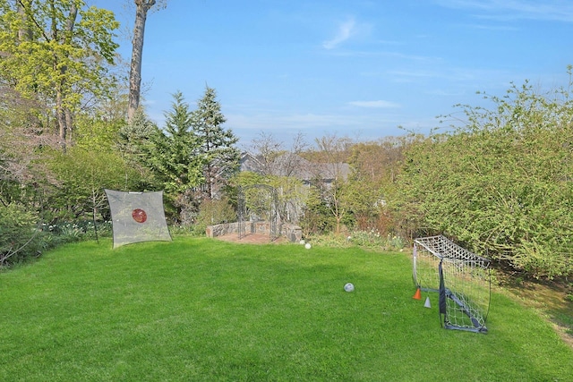 view of yard
