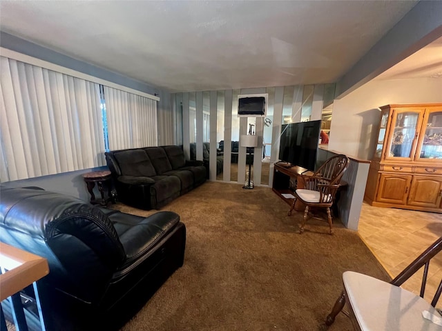 view of carpeted living area