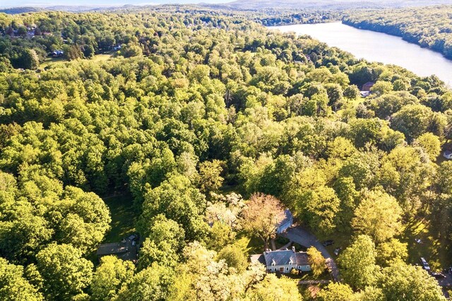 893 Laroe Rd, Monroe, NY 10950 - drone / aerial view of a forest