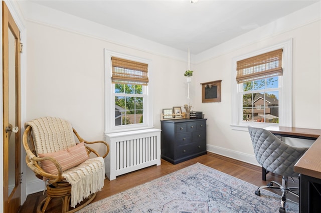 office area featuring radiator, baseboards, wood finished floors, and a wealth of natural light