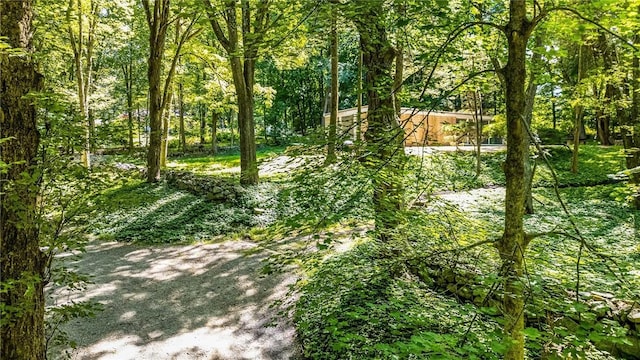 319 Pound Ridge Rd, Bedford, NY 10506 - view of nature with a forest view