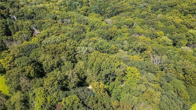 319 Pound Ridge Rd, Bedford, NY 10506 - birds eye view of property with a view of trees