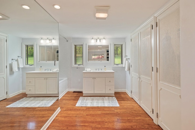 bathroom with wood finished floors, a healthy amount of sunlight, and a sink