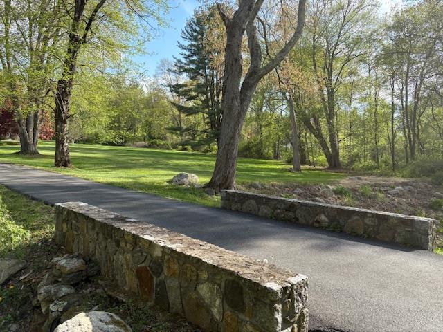 view of community featuring a yard