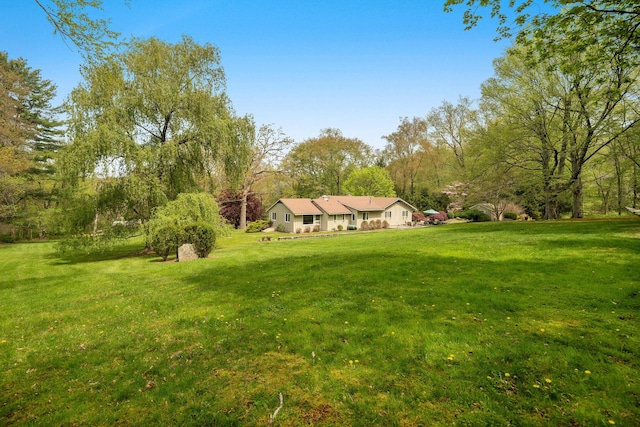view of yard