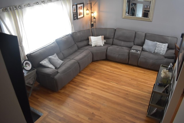 living room featuring wood finished floors