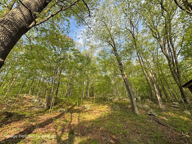 view of nature