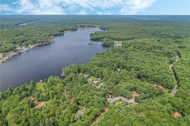 2 Hollowaty Kosak Rd, Glen Spey, NY 12737 - aerial view with a forest view and a water view