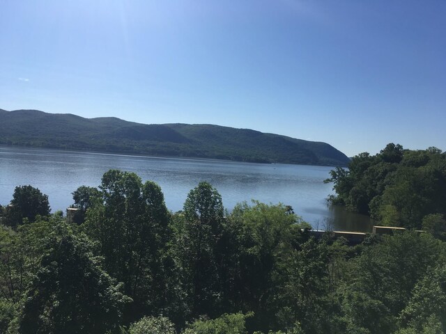 282 Tamerisk Ln, New Windsor, NY 12553 - water view featuring mountains