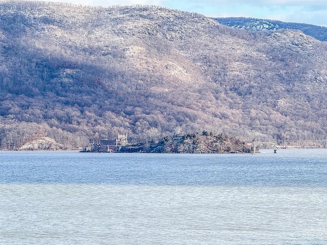 282 Tamerisk Ln, New Windsor, NY 12553 - water view with a mountainous background