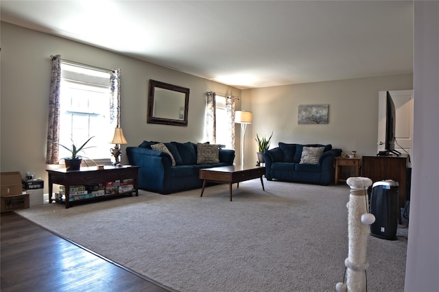 living room featuring wood finished floors