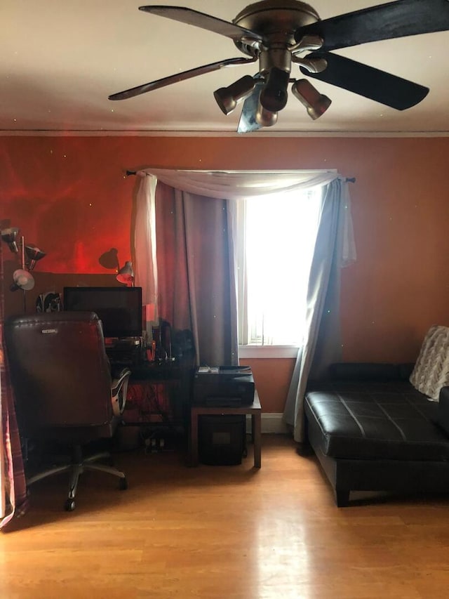 office featuring a ceiling fan, wood finished floors, and crown molding