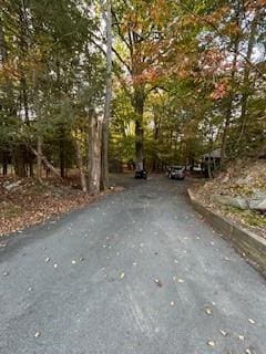9 Cardiff, Rock Hill, NY 12775 - view of street