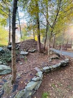 9 Cardiff, Rock Hill, NY 12775 - view of yard