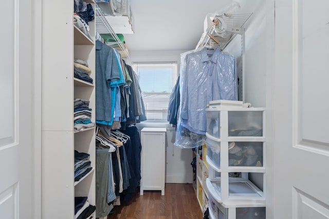 spacious closet with wood finished floors