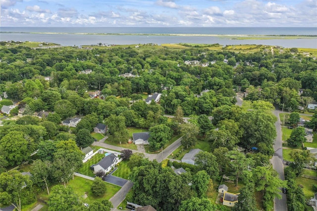 129 Locust Dr, Mastic Beach, NY 11951 - photo 17
