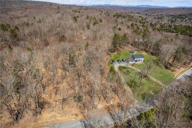 114 Ranch Hill Rd, South Fallsburg, NY 12779 - photo 1