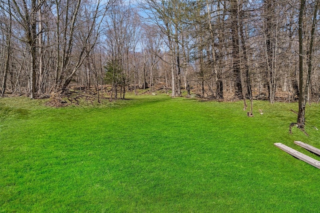 114 Ranch Hill Rd, South Fallsburg, NY 12779 - photo 10