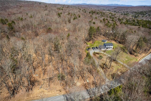 114 Ranch Hill Rd, South Fallsburg, NY 12779 - photo 37