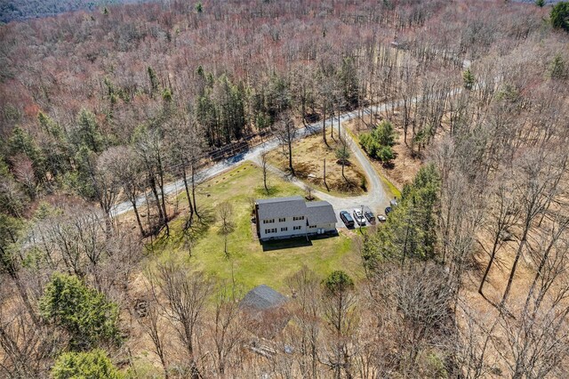 114 Ranch Hill Rd, South Fallsburg, NY 12779 - photo 40