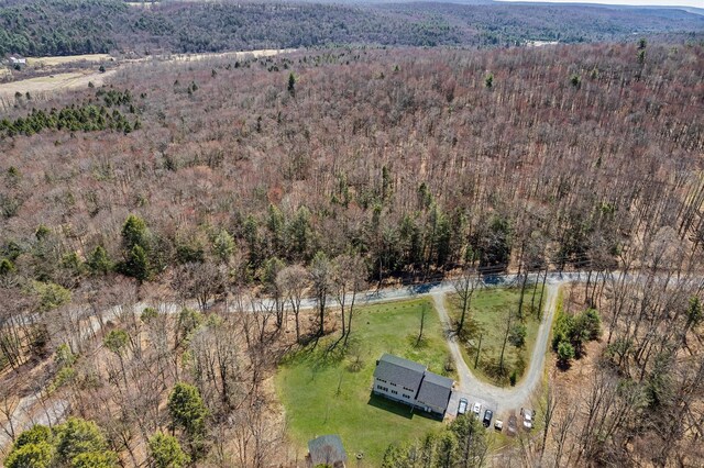 114 Ranch Hill Rd, South Fallsburg, NY 12779 - photo 41