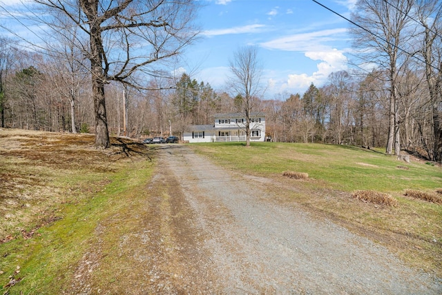 114 Ranch Hill Rd, South Fallsburg, NY 12779 - photo 42