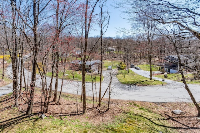 295 Overhill Rd, Stormville, NY 12582 - water view