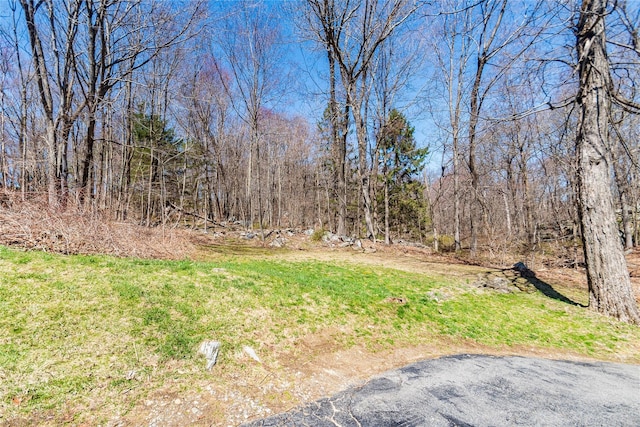295 Overhill Rd, Stormville, NY 12582 - view of yard