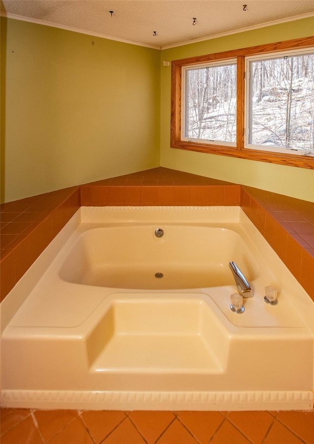 295 Overhill Rd, Stormville, NY 12582 - bathroom featuring crown molding, a bath, and tile patterned flooring