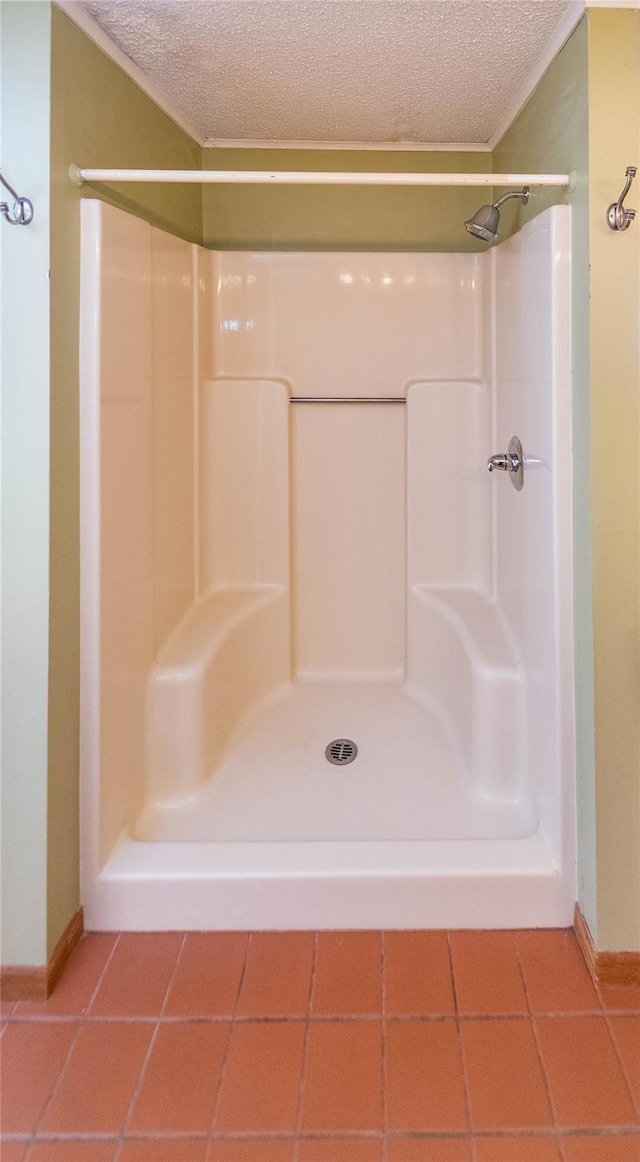 295 Overhill Rd, Stormville, NY 12582 - full bathroom with tile patterned floors, baseboards, a textured ceiling, and a shower stall