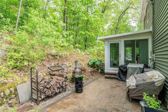 69 Taylor Rd, Patterson, NY 12563 - view of patio / terrace
