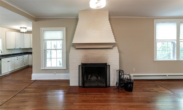 78 Closter Rd, Palisades, NY 10964 - unfurnished living room featuring crown molding, dark wood-style flooring, a baseboard heating unit, and plenty of natural light