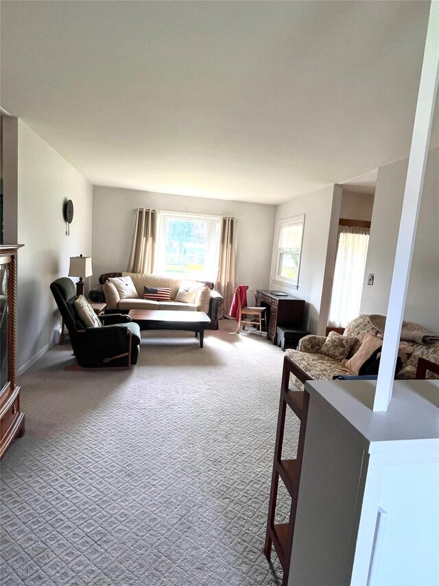 living area featuring carpet floors
