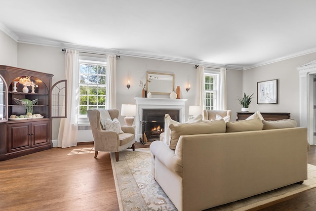 living area with a warm lit fireplace, wood finished floors, and ornamental molding