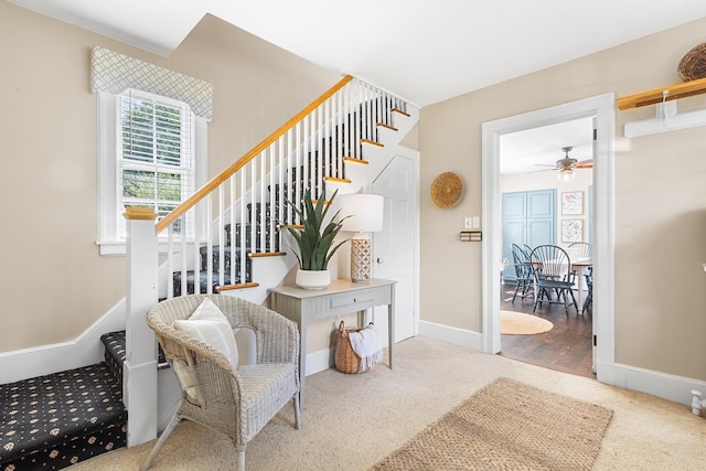 stairs with carpet, a ceiling fan, and baseboards